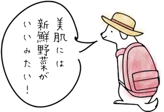 美肌には新鮮野菜がいいみたい!